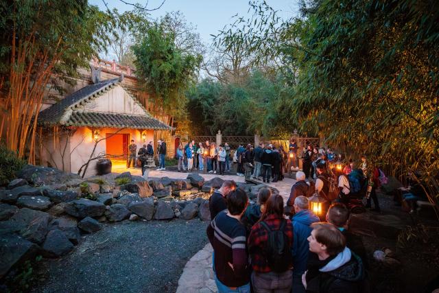 De Chinese Nachtega…